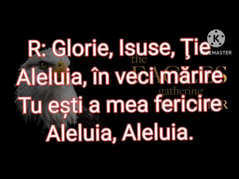 Am gasit in domnul fericirea piano și versuri