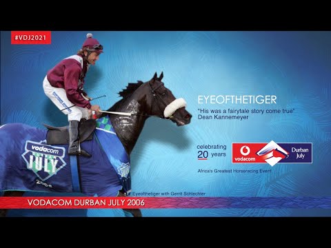 EYEOFTHETIGER: VDJ 2006