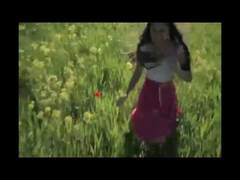 Panzer Flower feat Hubert Tubbs - We are beautiful (2014)