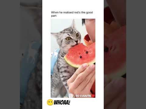 Went from: 👀  to  👁️👁️