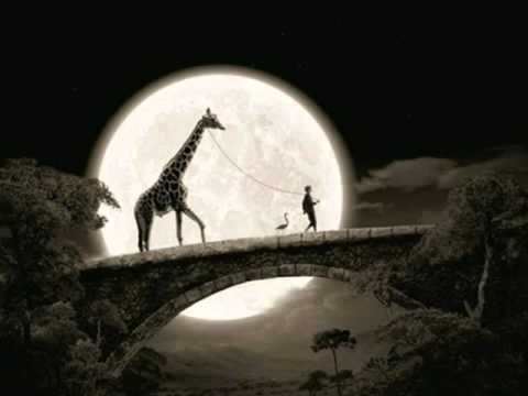 Claire de lune - Nadja Salerno-Sonnenberg