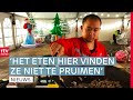 Bouwers China Lights nemen eigen kok mee uit China | RTV Drenthe