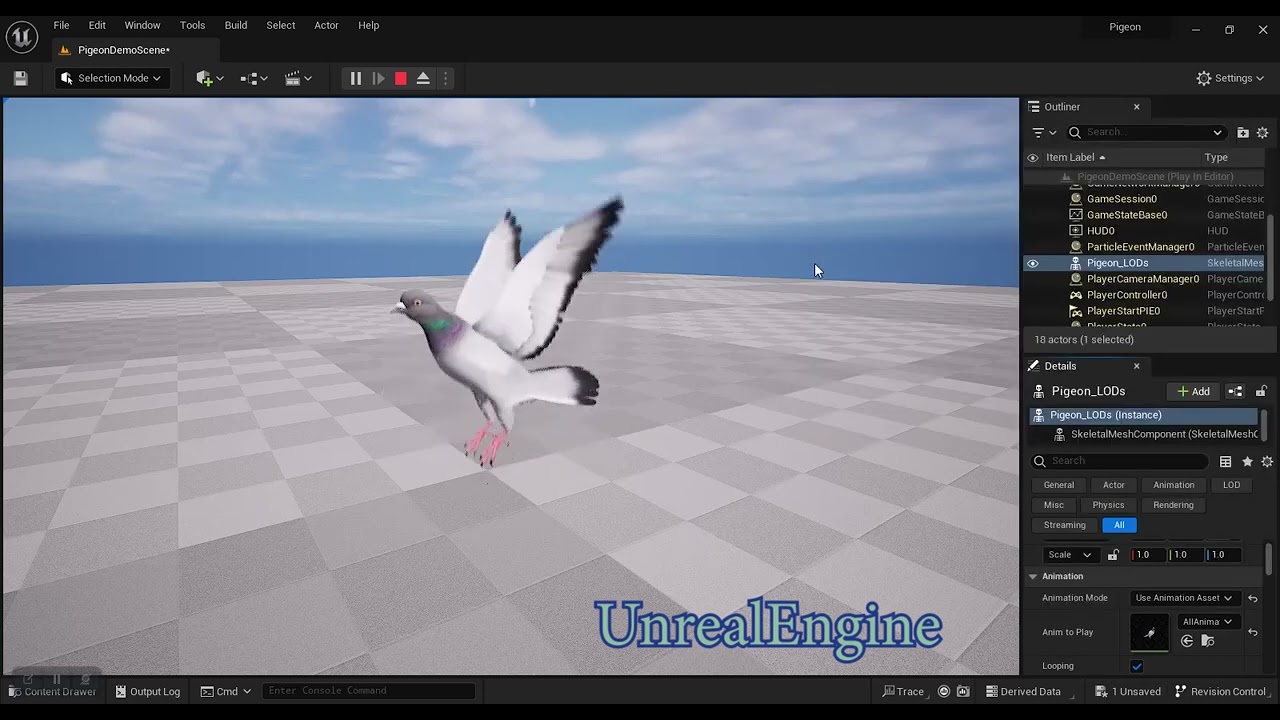 Piccione di roccia animato realistico Modello 3D