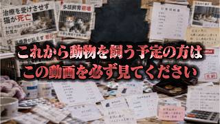【注意喚起】これから動物を飼おうとしてる方はこの動画を見てください...そしてこの動画を拡散してください。