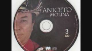 Aniceto Molina-El diario de un Borracho