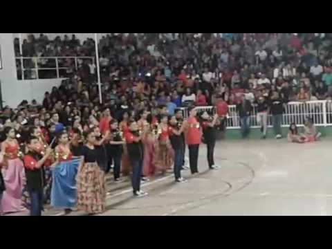 Banda-Fundação Bradesco