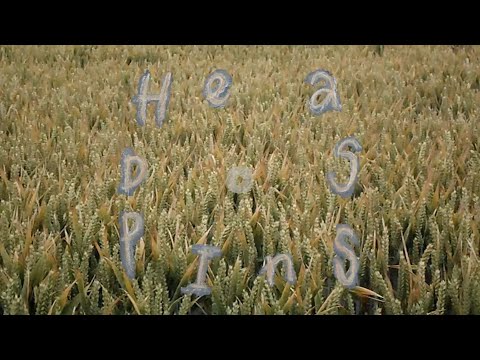 Hannah Brewer - Headspins