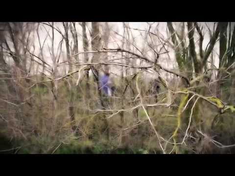 Фильм - Люми или кто сбил Boing-777 под Донецком?