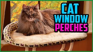 Top 5 Best Cat Window Perches in 2022 Reviews [Buyer’s Guide