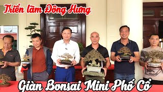 Download lagu High-quality miniature bonsai trees displayed at the Dongxing Exhibition (from 21 to 28, 2025). mp3