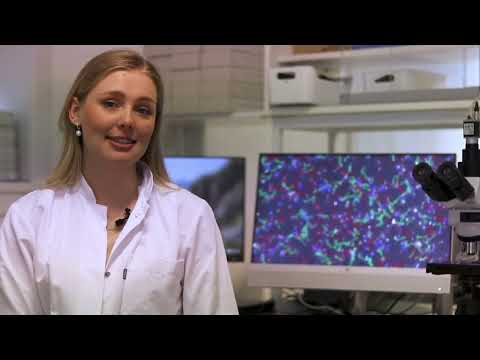 How we analyse sperm quality at Cryos