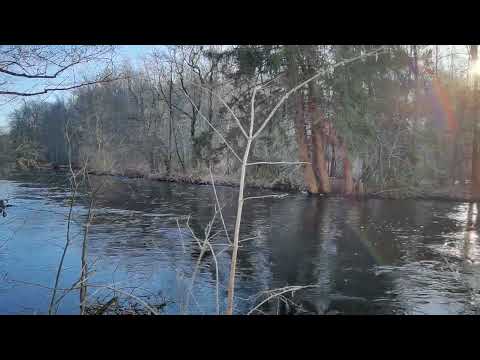 DEN SMALA ÖN i Ronnebyån - 2023-02-27 - Karlsnäsleden mellan Kallinge och Brantafors - BLEKINGE