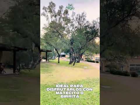 Cabañas en Villa General Belgrano