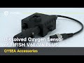 QYSEA Dissolved Oxygen Sensor | FIFISH ROV Accessories
