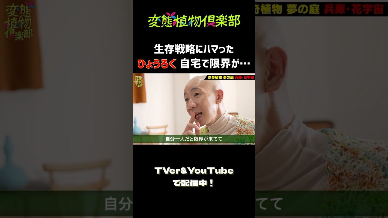 【ひょうろく旅】プライベートで植物育成🌱 瀕死の大ピンチ！助けを求めて兵庫まで… #ひょうろく #珍奇植物 #趣味 #ビカクシダ #shorts
