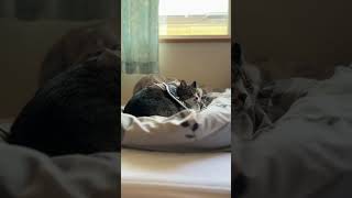 眠くてあくびがでちゃうね