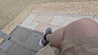 岩国寿司をいただきます