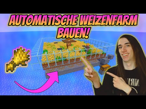 Minecraft Automatische Weizenfarm bauen 1.19 Tutorial! - Ganz leicht!