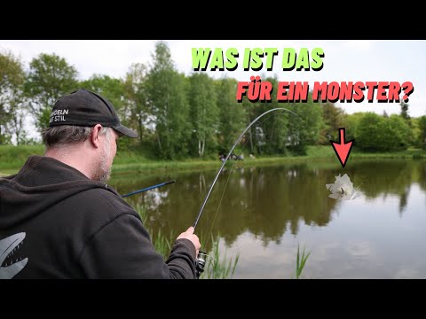 We weren't expecting this MONSTER 😱 Sturgeon fishing at the trout lake