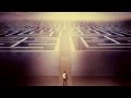 Say We Don’t Have Free Will—Does It Matter?