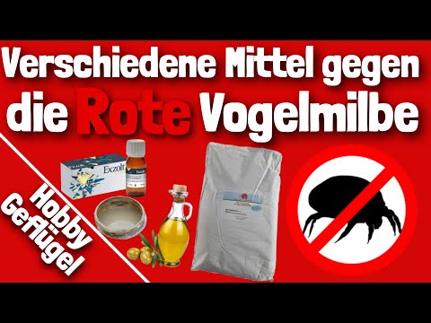 Verschiedene Mittel gegen die Rote Vogelmilbe