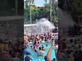 Party In Pool In Miami Usa