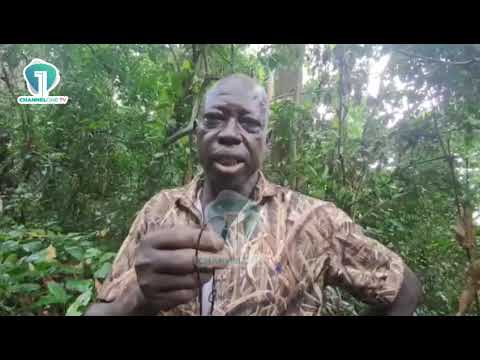 “It Fell Like a Fireball!” — Eyewitness Recounts Crash That Killed Defence, Environment Ministers