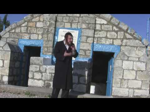 Higher Torah by Reb Rebbe Rav Rabbi Moshe of Safed