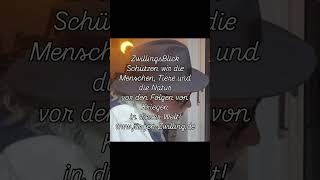 ZwillingsBlick - Schützen wir die Menschen, Tiere und Natur vor den Folgen von Kriegen in dieser Welt