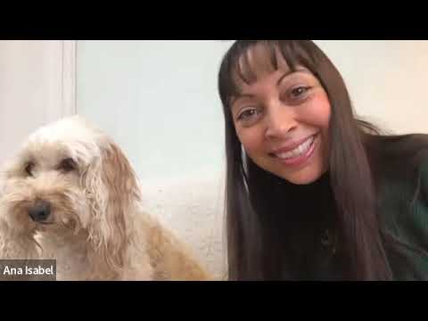 A Vet's Calling- With Pete Wedderburn