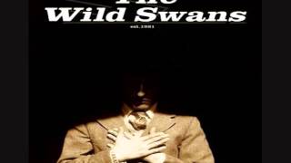 Wild Swans - Dark Times