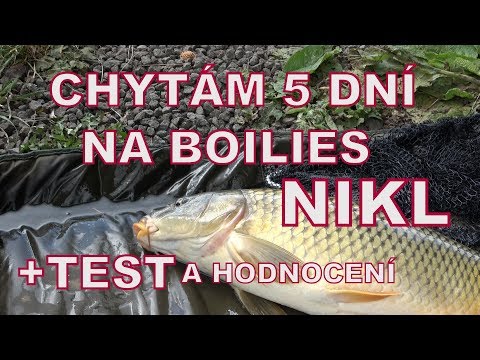 Rybaření 2019 TEST BOILIES NIKL 5 DENNÍ LOV KAPRŮ