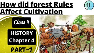 How did forest Rules Affect Cultivation | Forest Society and Colonialism | Class 9 History Chapter 4