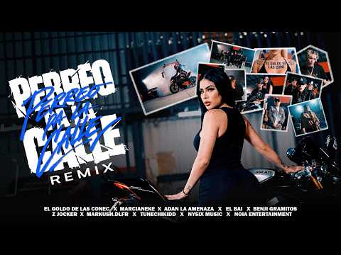 Miniatura de Perreo Pa La Calle (Remix)