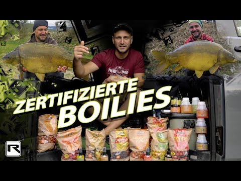 Boilies fischen - Aber welche? Qualitativ hochwertige Kugeln in 8 Geschmacksrichtungen!