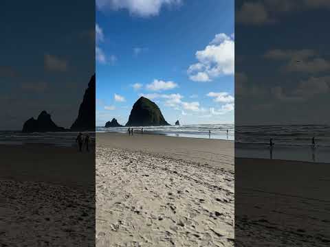 Cannon Beach 🏝️ 🌲🤍