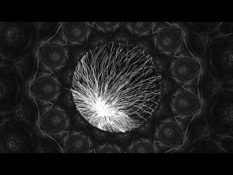 Micelios - Mandala