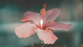 Helios - Nothing It Can