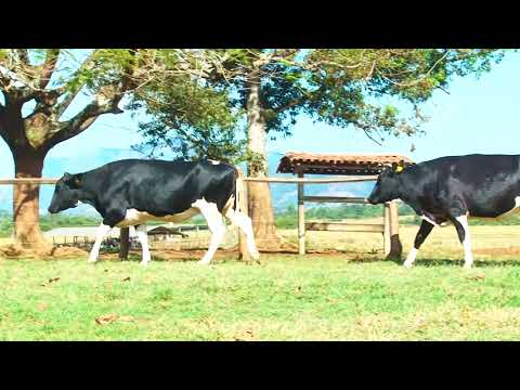 LOTE 32   5699 e 5933