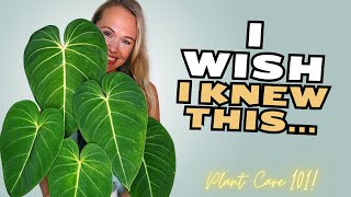 Things I Wish I knew Before Collecting Houseplants