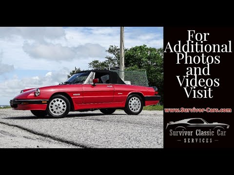 1986 Alfa Romeo Spider (CC-1627498) for sale in Palmetto, Florida