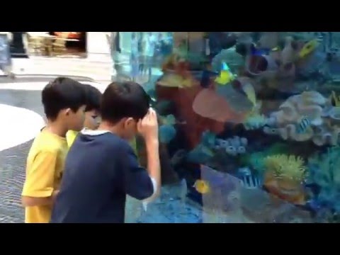 $5,000,000 Tropical Fish Aquarium that Kids Want in Home Pt. 2