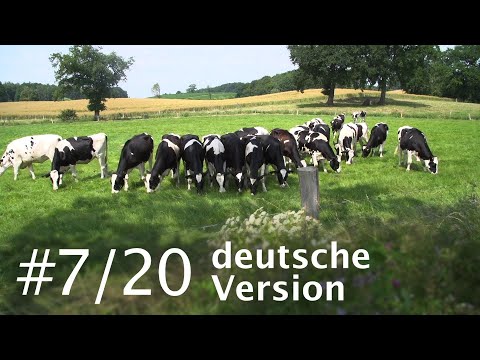 Video 30 aus  LandSelection Ferienhof Radlandsichten