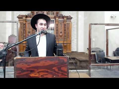 Hespedim for Harav David Feinstein ZT"L