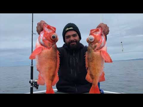 Hitra, Norwegen 2020                andere Version