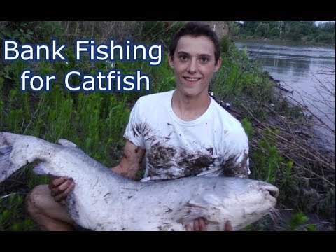 How to Bank Fish a River for Catfish - Tips and Techniques