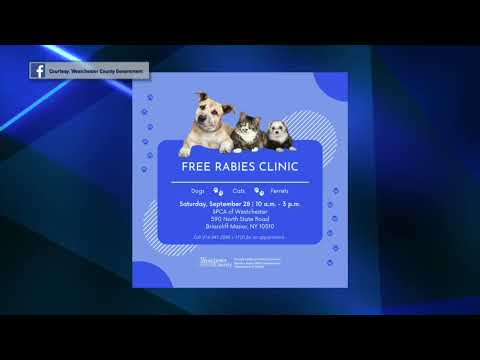 Westchester Rabies Clinic