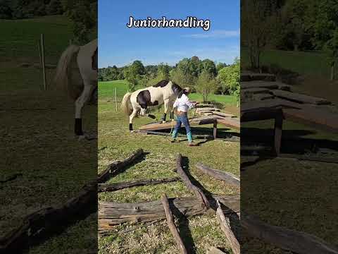 Junior Pattern German EXTREME TRAIL Open 2025