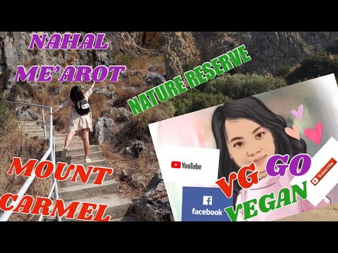 RESERVA NATURAL NAHAL ME’AROT | PATRIMÔNIO MUNDIAL #MOUNTCARMEL #HAIFA #ISRAEL