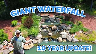 Massive Backyard WATERFALL Still Thriving After 10 Years | Lifestyle